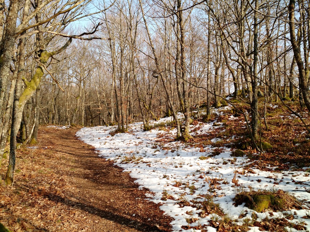 Tour du lac de Roussillou